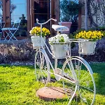 Feniks Agro&spa Adults Only B&B
