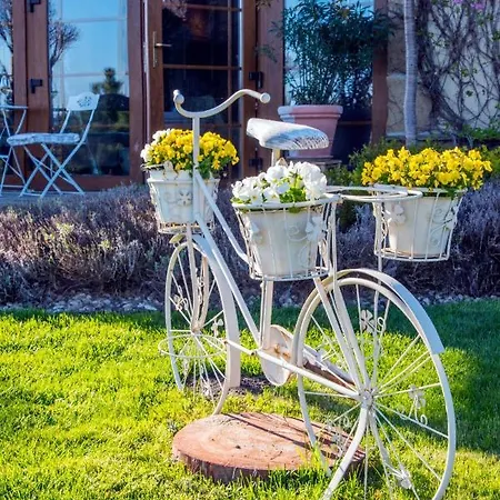 Feniks Agro&spa Adults Only B&B