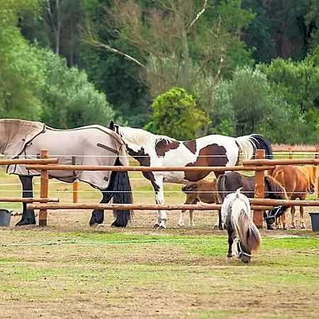 Feniks Agro&spa Adults Only B&B 3*