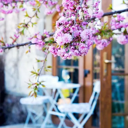 Feniks Agro&spa Adults Only B&B