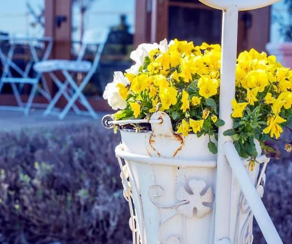 Feniks Agro&spa Adults Only 4*