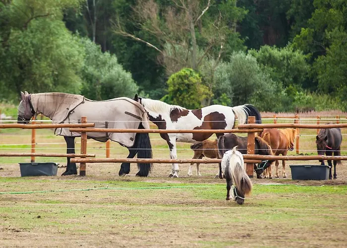 Feniks Agro&spa Adults Only Nocleg ze śniadaniem Świnoujście
