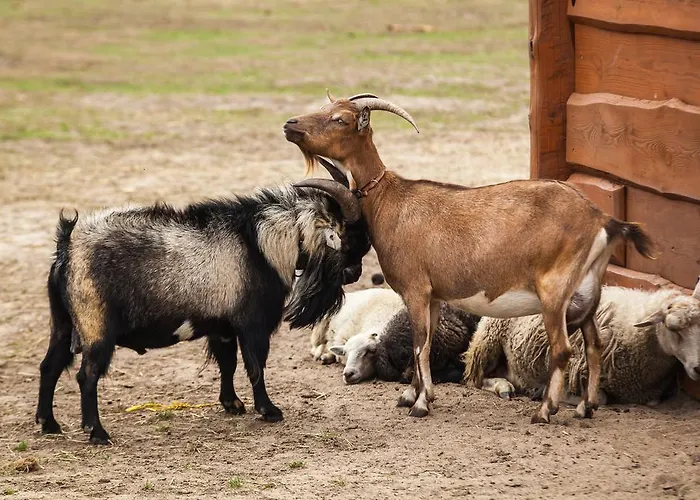 Feniks Agro&spa Adults Only Alojamento de Acomodação e Pequeno-almoço