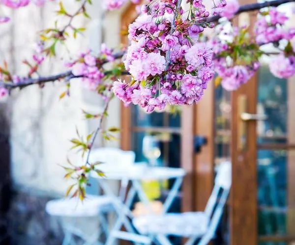 Feniks Agro&spa Frühstückspension